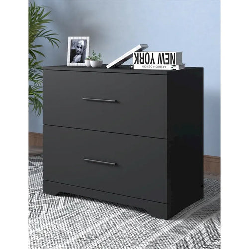 2-Drawer Lateral Filing Cabinet with Equal-Height Drawers Recessed Bar Pulls Solid Plinth Base and 50 lb Per Drawer Capacity